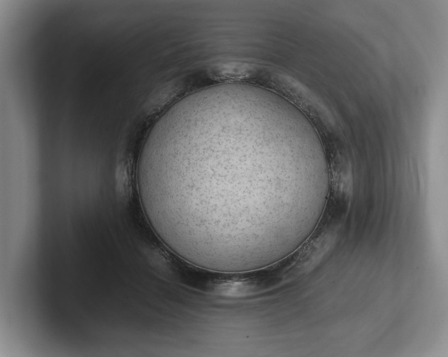 X0000102390460200808081231