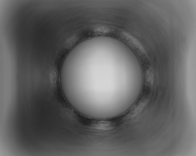 X0000102390463200808081231