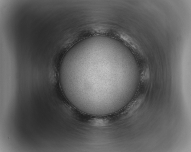 X0000102390464200808081231