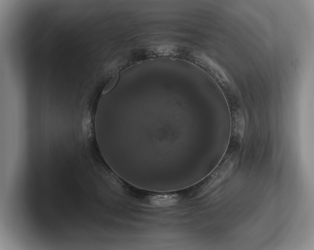 X0000102390465200808081231