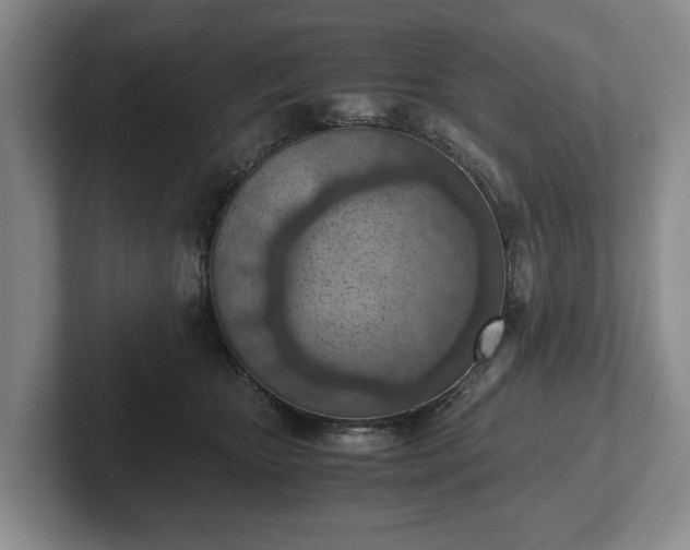 X0000102390467200808081231