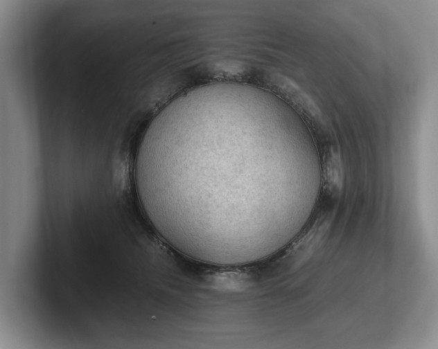 X0000102390468200808081231