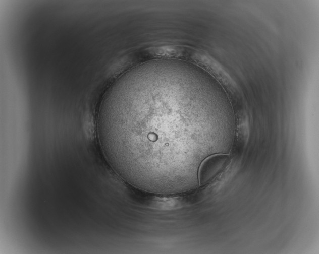 X0000102390469200808081231