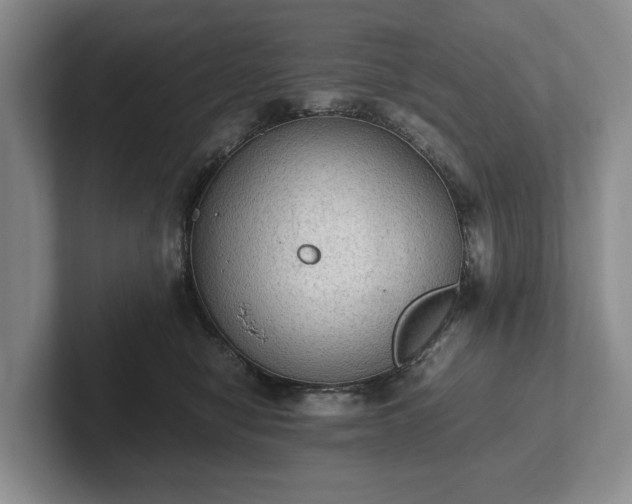 X0000102390470200808081231