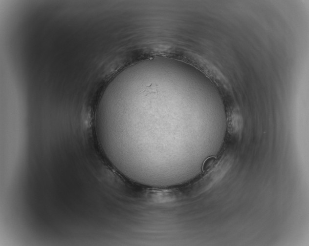 X0000102390472200808081231