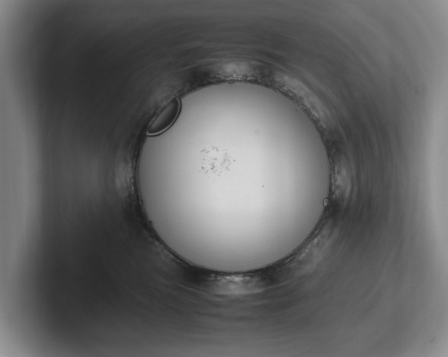 X0000102390473200808081231