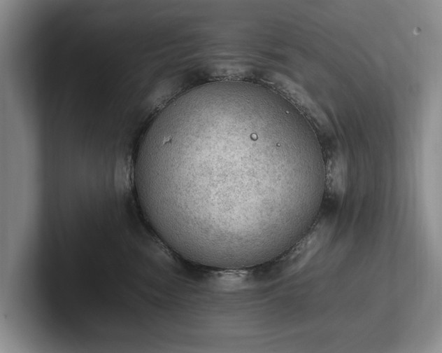 X0000102390474200808081231