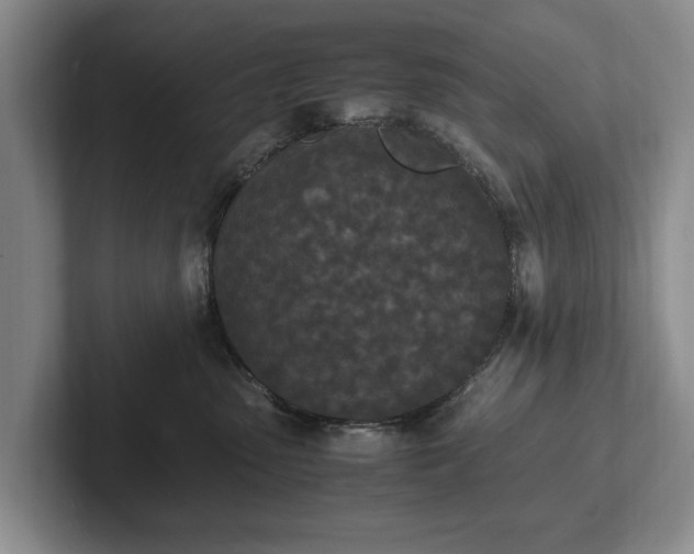 X0000102390475200808081231