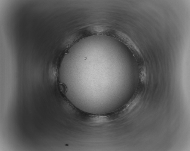 X0000102390476200808081231