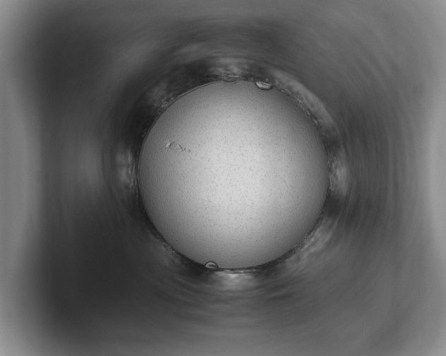 X0000102390477200808081231