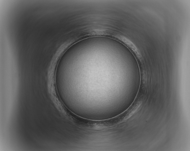 X0000102390481200808081230