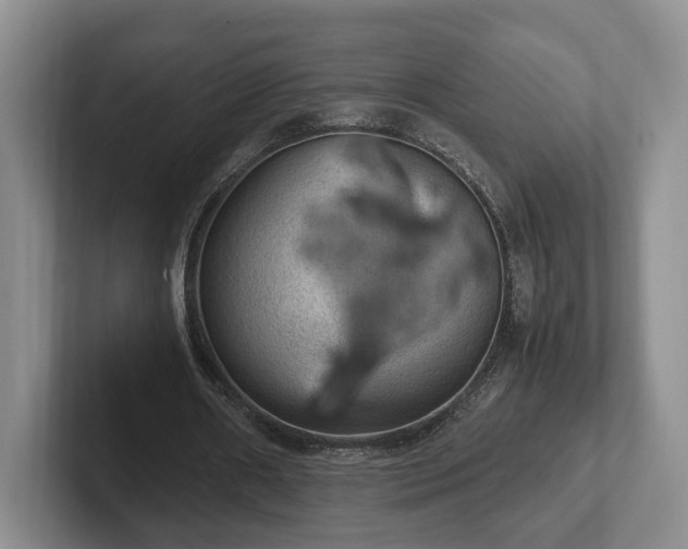 X0000102390482200808081230