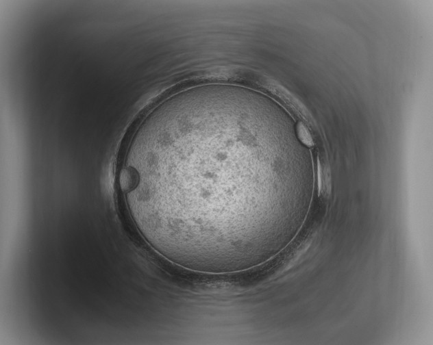 X0000102390483200808081230