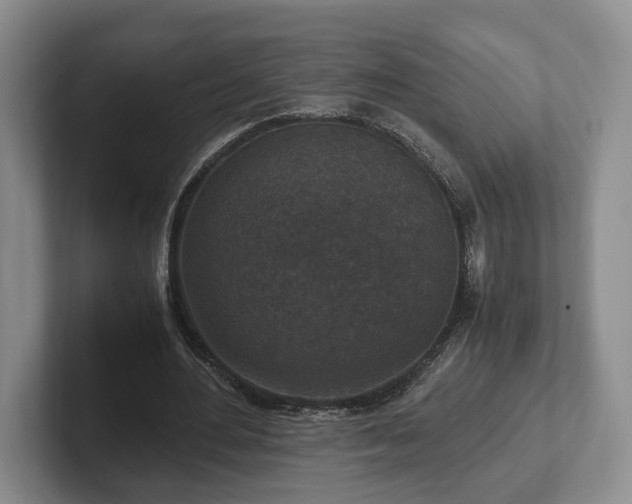 X0000102390484200808081230