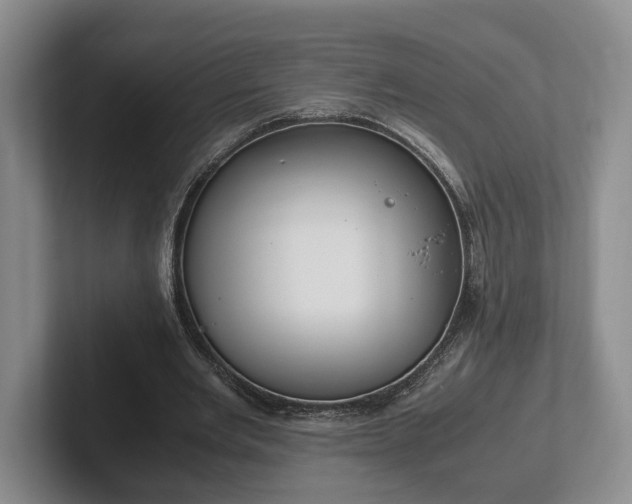 X0000102390485200808081230