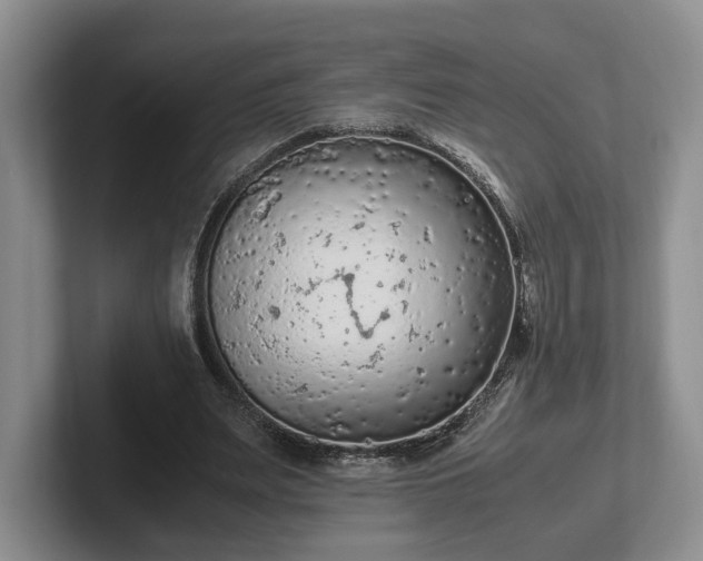 X0000102390487200808081230