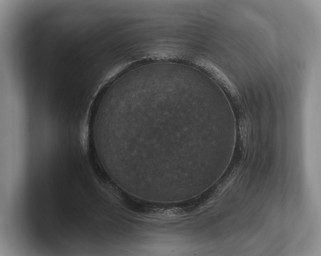 X0000102390488200808081230