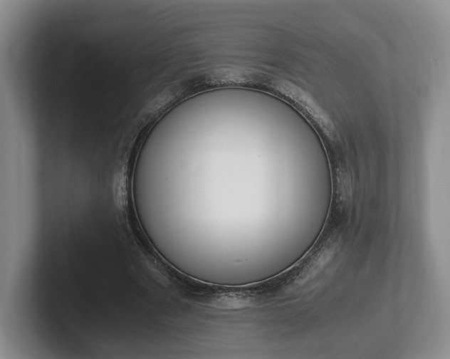 X0000102390489200808081230