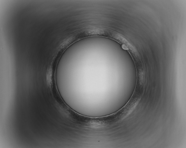 X0000102390490200808081230