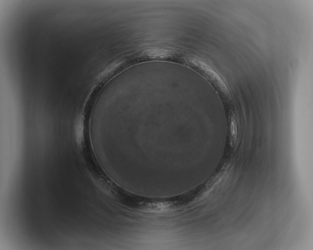 X0000102390492200808081230