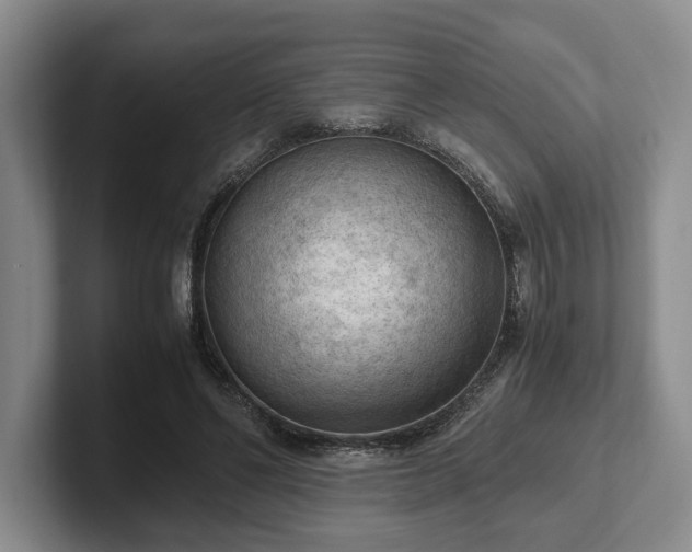 X0000102390494200808081230