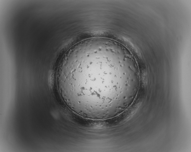 X0000102390495200808081230