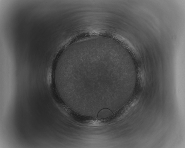 X0000102390496200808081230