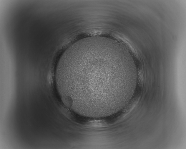 X0000102390499200808081230