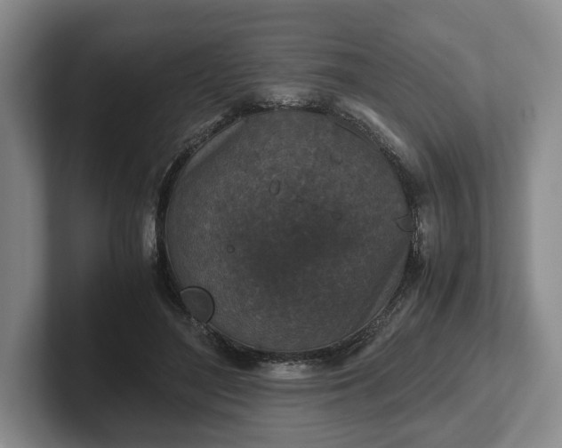 X0000102390500200808081230