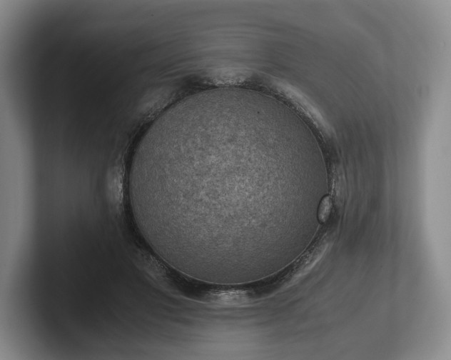 X0000102390501200808081230