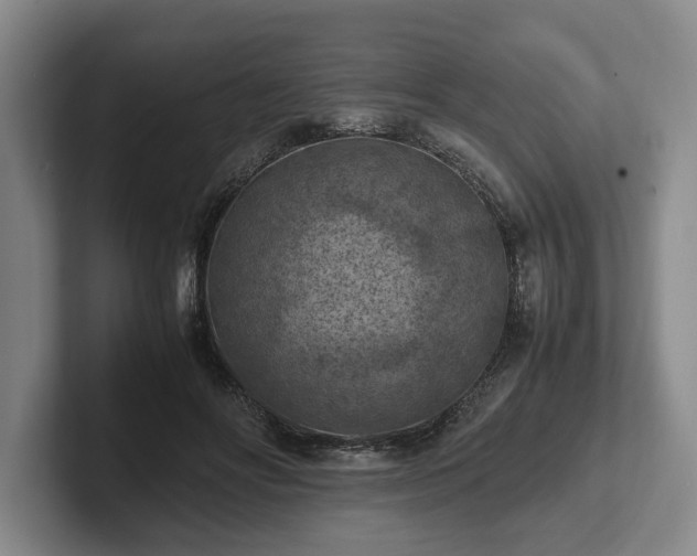 X0000102390502200808081230