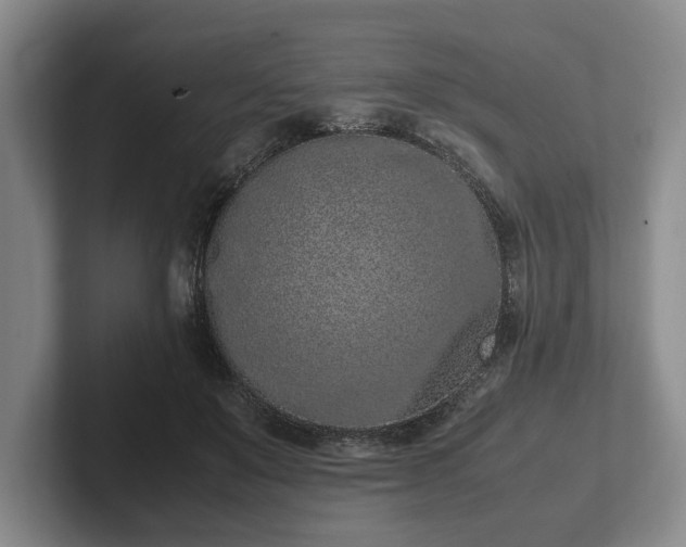 X0000102390503200808081230