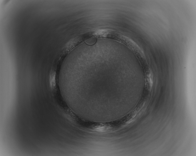 X0000102390504200808081230