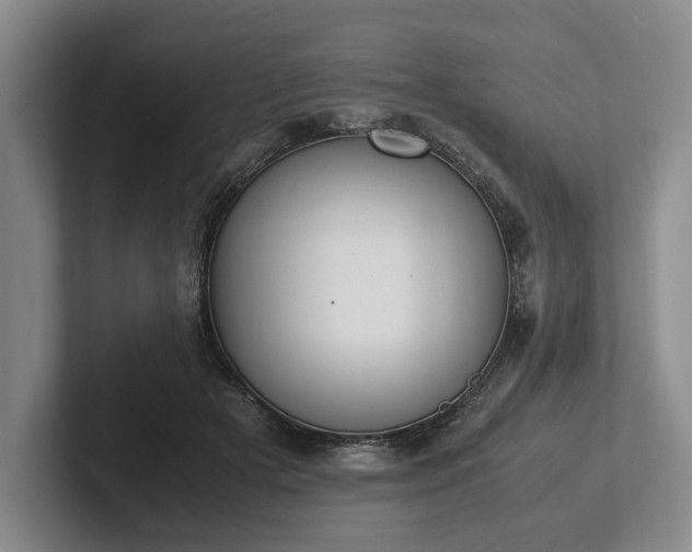 X0000102390505200808081230