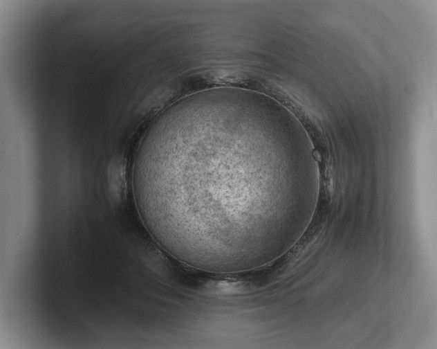 X0000102390506200808081230