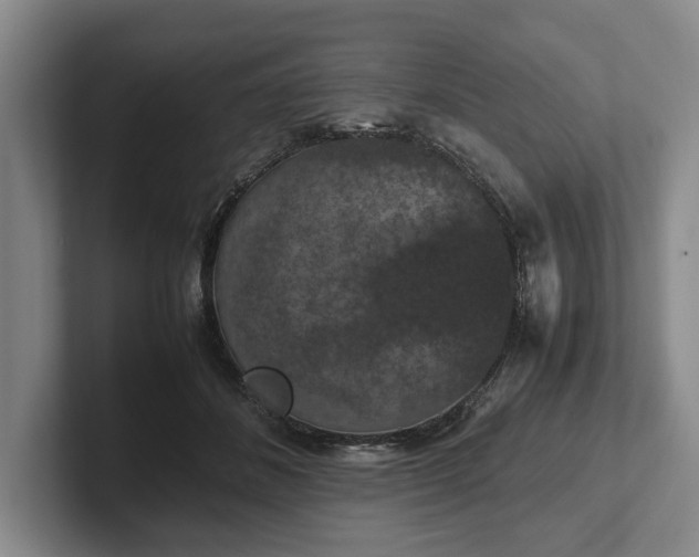 X0000102390508200808081230