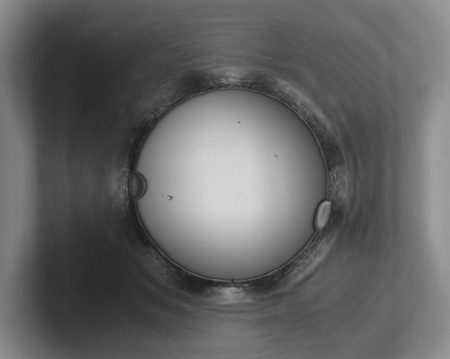 X0000102390509200808081230