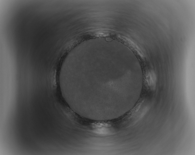 X0000102390512200808081230