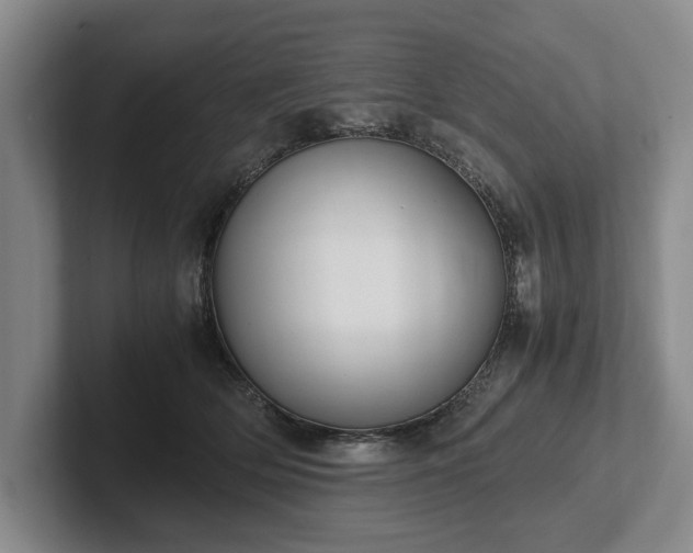 X0000102390514200808081230