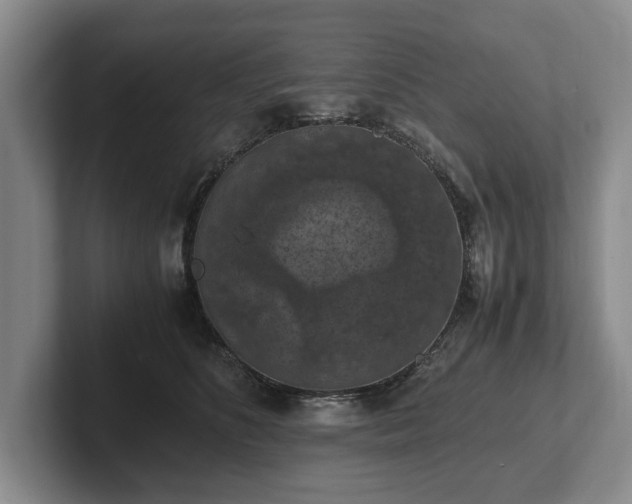 X0000102390516200808081230