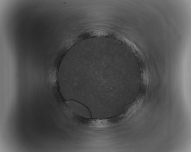 X0000102390517200808081230