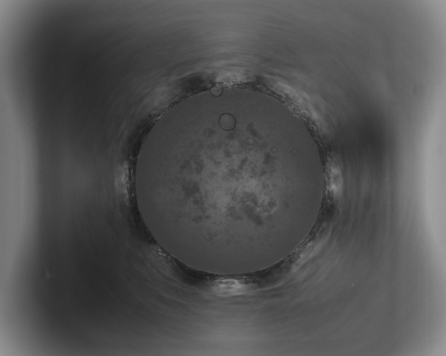 X0000102390519200808081230