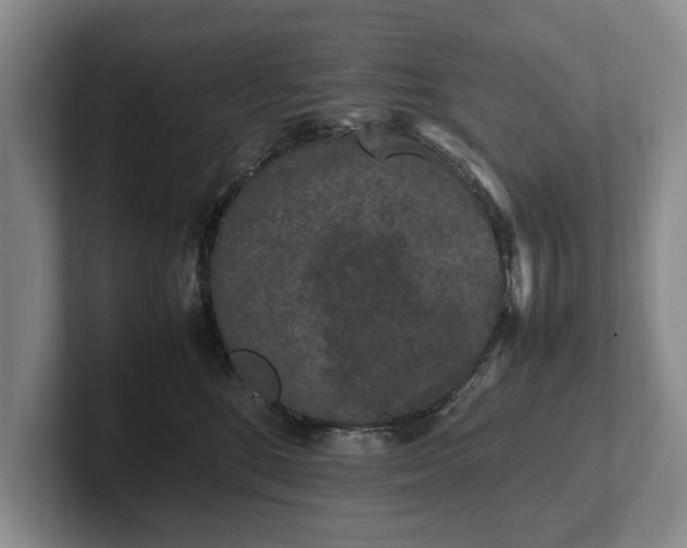 X0000102390520200808081230