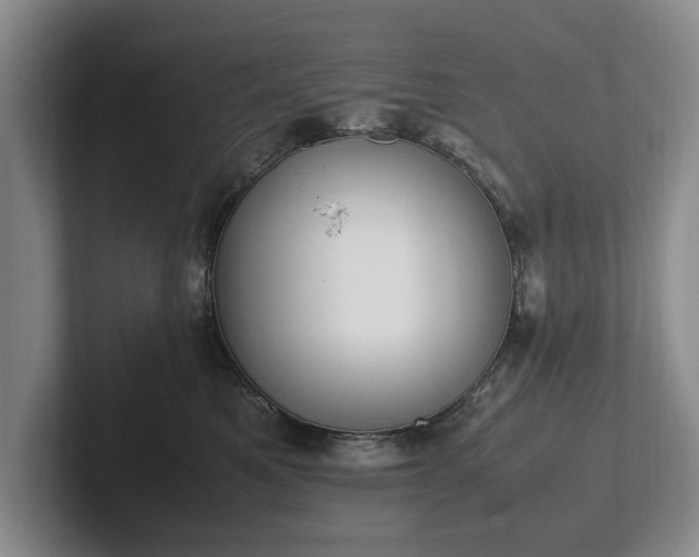 X0000102390521200808081230