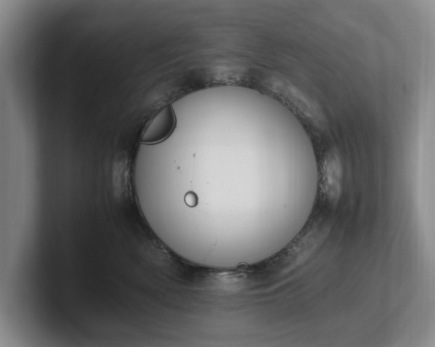 X0000102390522200808081230