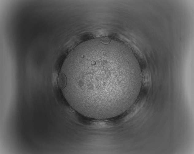 X0000102390523200808081230