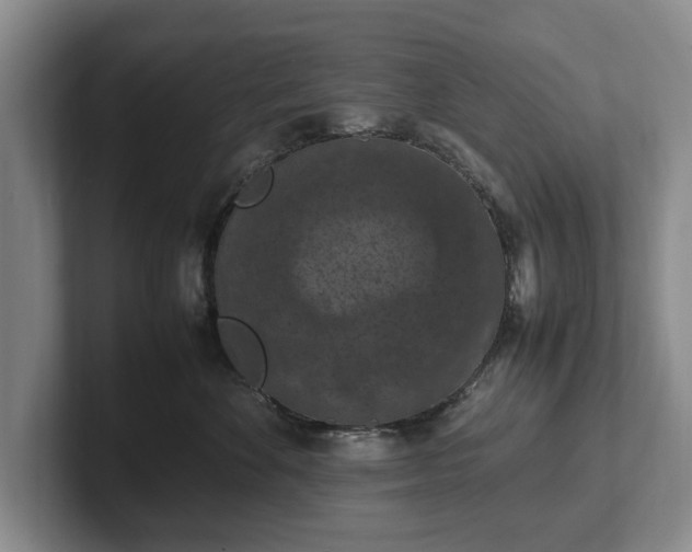 X0000102390524200808081230