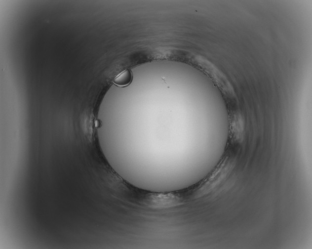 X0000102390525200808081230