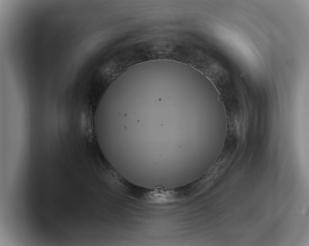 X0000102390526200808081230