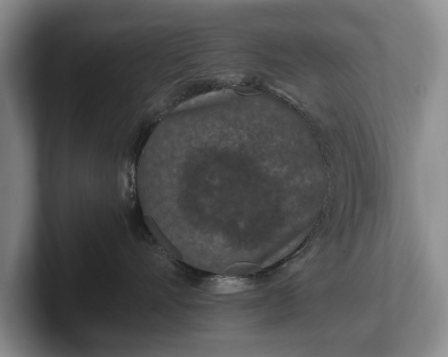 X0000102390528200808081230